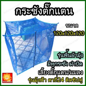 กระชังเลี้ยงตั๊กแตน มุ้งตั๊กแตน กระชังตั๊กแตน รุ่นมุ้งฟ้า หนา ตาถี่24 คอก ตาข่าย เลี้ยง ตั๊กแตน ตั้กแตน แมลง มุ้งเลี้ยงตั๊กแตน พื้นมุ้ง