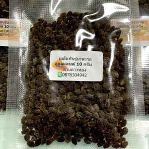 เมล็ดพันธุ์ มะละกอฮอลแลนด์ (โปรโมชั่น)