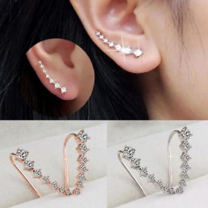 Amefurashi Anting Rumpun Zircon Tindik Drop Earrings ( 1 anting bukan sepasang)