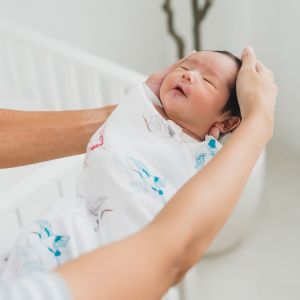 Le Petit Society Organic Newborn Baby Swaddle - Cranes