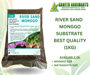 ARNETH RIVER SAND MONGGO FOR BONSAI CACTUS AQUARIUM SUBSTRATE BEST QUALITY (1KG)