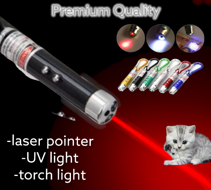in TORCH KEYCHAIN BATTERIES INCLUDED multifunction RED LASER POINTER,  LED FLASHLIGHT TORCH AND UV LIGHT ALL IN for keychain camping emergency 