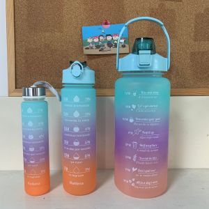 WE 3127 = 渐变色磨砂三件套/水瓶 Gradient frosted three-piece set/ water bottle