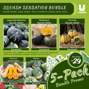 5in1 Squash Sensation Bundle Pack Rare Squash Seeds Bundle Pack Heirloom Squash Seeds Bundle Pack Organic Seeds Vegetable Seeds