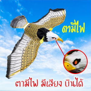 นกเหยี่ยวไล่นก เหยี่ยว ไล่นก หุ่นไล่นก 🕊️ หุ่นแขวนป้องกันนก ไล่นกกินแปลงผัก ที่ไล่นก นกพิราบ อุปกรณ์ไล่นก อุปกรณ์ป้องกันนก