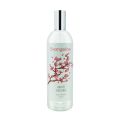 OKE - EVANGELINE PARFUM EDT 100ML SAKURA - PARFUM EVANGELINE SAKURA BPOM. 