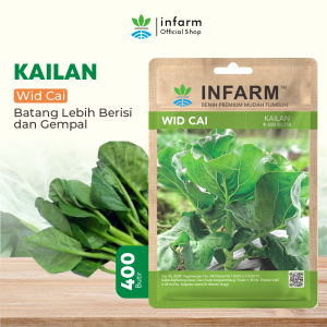 INFARM-Benih Super Sawi Kailan Bibit Super Sawi Kailan Biji Super Sawi Kailan Benih Sawi Kailan Biji Sawi Kailan Infarm