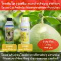 ทุเรียนใบติด ทุเรียนใบไหม้ ราสีชมพู ทุเรียน ราดำ โรคราต่างๆ ใช้ ไอเอส สารอินทรีย์ + FKธรรมชาตินิยม ประสิทธิภาภสูง โปรดอ่านวิธีใช้. 
