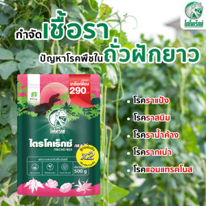 กำจัดเชื้อรา สาเหตุของโรคในถั่วฝักยาว ราแป้ง ราสนิม ราน้ำค้าง รากเน่า ใช้ไตรโคเดอร์มา(ไตรโคเร็กซ์แม็กซ์) ปลอดภัยต่อคนใช้ 100%