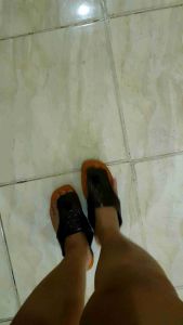 Sandal Lily 2000