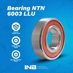 Laker Bearing 6003 LLU NTN Bearing Engine Mounting Yamaha Mio INB Original NTN