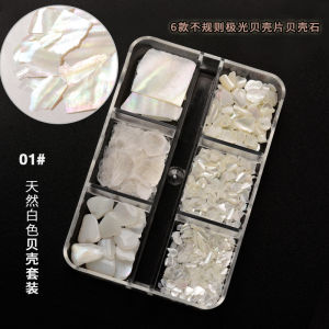 6 Compartment Box Natural Shell Nail Jewelry / Bohai Bay Color Abalone Slice Jewelry / Symphony Nail Jewelry天然贝壳饰品6格套盒