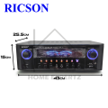 RICSON KARAOKE AMPLIFIER WITH FM/ BLUETOOTH / USB PLAYBACK (AV-260 II). 