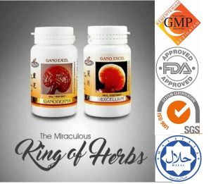 Power Pair 90s Ganoderma & Excellium pair Ganoderma supplement "The King of Herbs" Protection against VIRUSES Boost you Immune System Herbal Supplements Anti-Inflamatory