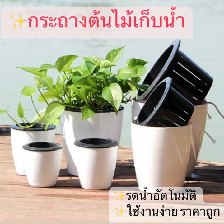 กระถางต้นไม้รดน้ำอัตโนมัติ ทรง Egg สีขาว แพ็ค 2 ใบ