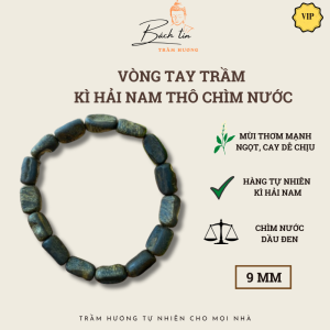 Vòng tay trầm hương Kì Hải Nam chìm nước 9li nặng 10g đen dầu 038