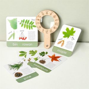 XUECHUANGYING Educational Toys Childrens Outdoor Explorer Tool Montessori Wooden Magnifying Glass Toys Sensory Toys Portable Plant Cognition Cards Babies Summer