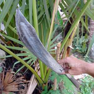 Golok Baja Asli Super Tajam Khas Jabar - Pedang Lancip Finising Halaus Dan mengkilat - Bedog Sunda Murah  Pisau Sembelih Panjang