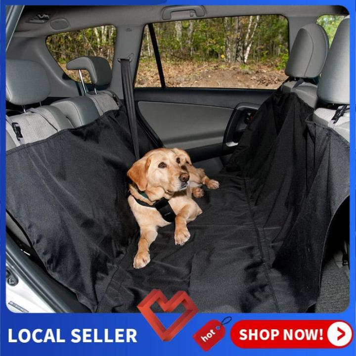 Car restraints for small dogs best sale