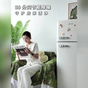 R refrigerator for home use first grade mini compact high aesthetic single door double door refrigerator silent refrigerator