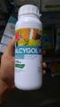 Phân bón ALCYGOL K (500ml) hợp lực giữa Kali hòa tan 100%, với Đạm (N) chiết xuất từ Rong biển tự nhiên (ASCOPHYLLUM NODOSUM) giúp Dìu đọt lá xanh dày, Chặn đọt không cháy lá, Tạo mầm hoa không cháy lá, ra hoa tập trung,Chống rụng hoa. 