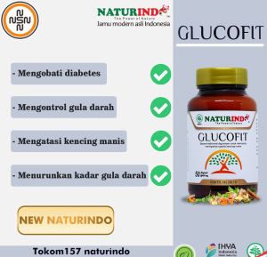 Glucofit Obat Kencing Manis diabates Gula Darah Naik Sakit Gula isi 50 Kapsul