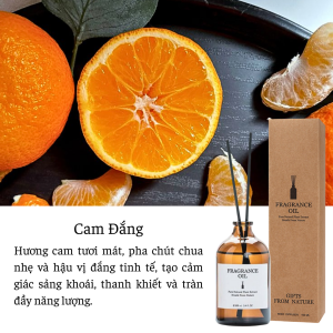 Tinh Dầu Thơm Thiên Nhiên VaromaS Bản Sang Trọng Để Phòng Thanh Lọc Khử Mùi Không Khí Decor KT29