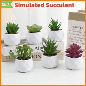 Artificial Succulent Simulated Mini Evergreen Bonsai Plants Home Bathroom Children Room Decors