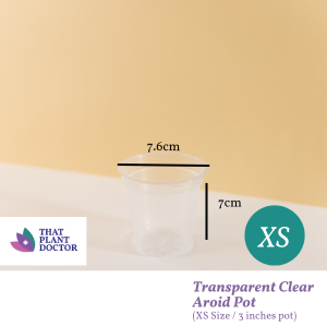 Transparent Clear Aroid Pot (XS Size / 3 inches pot) (Diameter 7.6cm / Height 7cm)