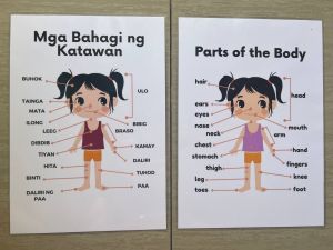 TAGALOG KULAY BAHAGI NG KATAWAN Educational learning materials for kids Laminated A4 Size Chart