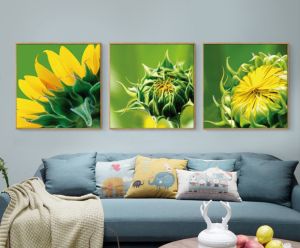 Bức tranh gạc họa tiết hoa hướng dương