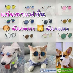 🇹🇭 ไซส์ใหญ่ มีแว่นตาแมว แว่นตาสูงสุนัข พันธุ์เล็ก หมา หมาใหญ่ แมว สัตว์เลี้ยง 😽🐶 พร้อมส่ง ราคาประหยัด