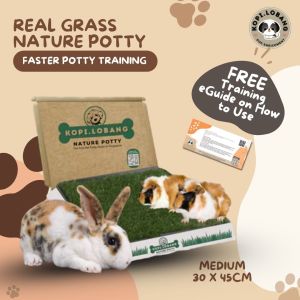 ✅[SG] REAL GRASS NATURE POTTY ★ SENDING NEXT TUE/WED ★ FREE Training e-Guide Worth $7  ★ SG Stock ★ Kopi Lobang ★ The First Pet Potty Real Grass in Singapore ★ Perfect for Gift
