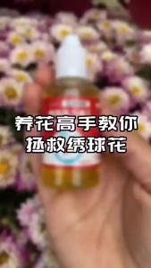 Plant auxin Plant Growth Vitalizer Booster Vitality Liquid Organic Fertilizer Phytodynamics Hormon tăng trưởng thực vật -152c4c8b