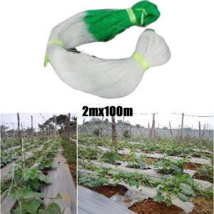 2M X 100M Cucumber Net Netting Jaring Timun Plant Support Net Gardening Plant Climbing Net Melon Passion Fruit Carob Net
