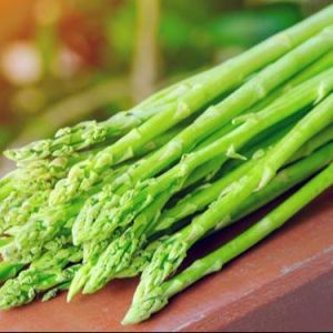 Hạt giống măng tây Xanh F1 gói 03 gram