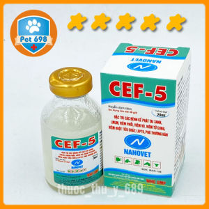 CEF-5-NANOVET chữa bệnh đường hô hấp chó. mèo thú cảnh PET-698 20ml