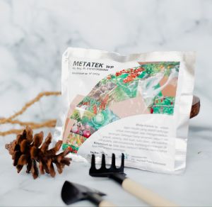 Insektisida Alami AXY WP kandungan utama mikroba Metarhizium mampu mengendalikan hama kelapa sawit rhinoceros