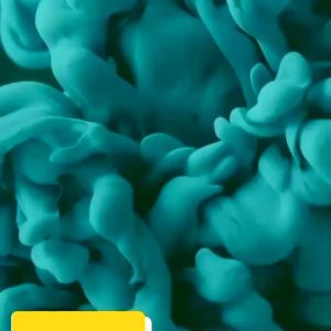 Jaket Olahraga Nyaman untuk Wanita: Jaket Pedro Jumbo