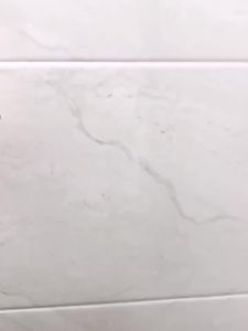 SXH Heavy-duty load-bearing hook no-drill traceless adhesive hook light luxury door-back clothes hook wall hook for bathroom and kitchen