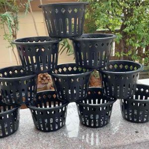 8" กล้วยไม้ แพ็ค 10 ใบ กระถางสินค้าพร้อมส่ง (กระถางกล้วยไม้)