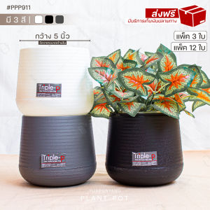 [ส่งฟรี แพ็ค 3 ใบ และ 12 ใบ] กระถางต้นไม้ 5 นิ้ว มี 3 สี ขาว/เทา/ดำ #รุ่น 911 กระถางมินิมอล กระถางมีฐานรองน้ำ กระถางแคคตัส