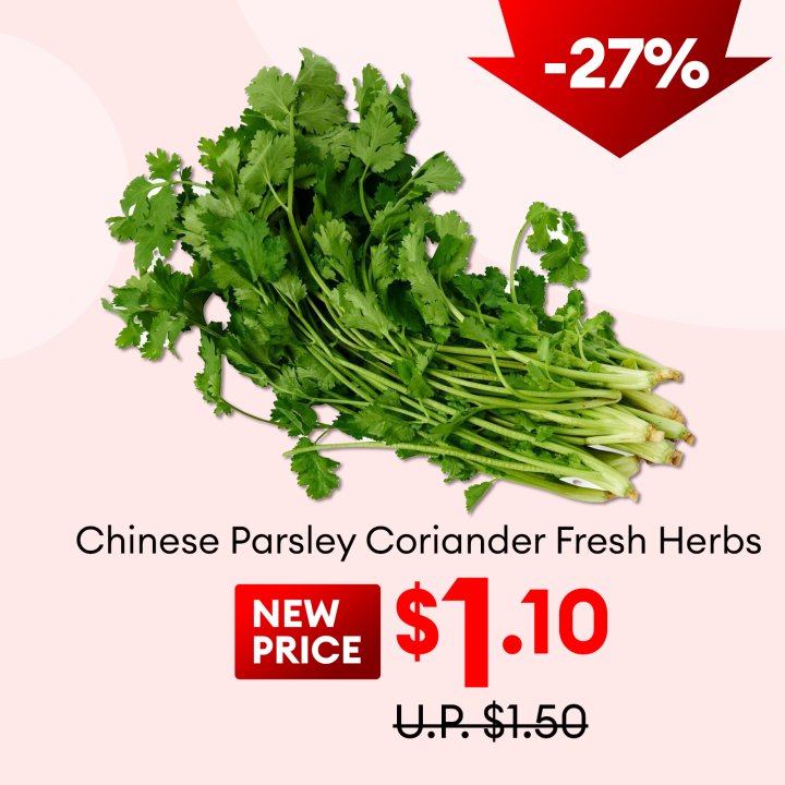 Chinese Parsley Coriander Fresh Herbs