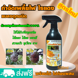 ส่งฟรี สเปรย์กำจัดเพลี้ยไฟไรแดง แมลง มด หนอน กำจัดศัตรูพืช แมลงบินต่างๆ ด้วยสมุนไพร ปลอดภัย ไร้สารเคมี ogannic100% ยากำจัดเพลี้ยไฟ ยาฆ่าแมลง เพลี้ยไฟไรแดง ยากำจัดไรแดง ยาฆ่าแมลง หนอน ใช้ได้กับพืชทุกชนิด บอนสี ไม้ดอก ไม้ประดับ ทุเรียน ข้าว