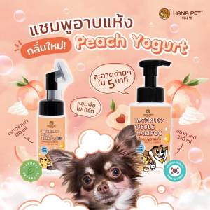 💧 แชมพูอาบแห้งแมวหมา🐱🐶 สะอาดง่ายใน 5 นาที💧 Hana Pet โฟมอาบน้ำแห้งแมวหมา หรือสัตว์เลี้ยงอื่นๆ หอม/ขนนุ่มหลังใช้