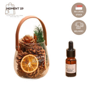[SG 🇸🇬 Ready Stock] Pine Cone Home Décor Creative Aromatherapy / Natural Pine Cone Essential Oil / Home Fragrance Oil / Christmas Gift