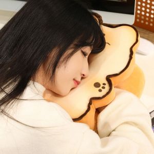 MIRACLE HOME STORE Double-sided Capybara Office Nap Pillow Toast PlushIce Silk Dog Waist Pillow Creative Stuffed Cat Hand Warmer Pillow Female Gift