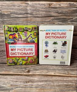 JOYL More than 500 Words My Picture Dictionary