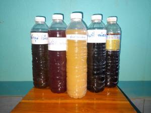 จุลินทรีย์ 5 ชนิด ประกอบด้วย น้ำหมักมูลไส้เดือน จูบแห้ง จูบซีู่ จูบทอด และอีเอ็ม จุลินทรีย์หน่อกล้วย จูบแห้ง จูบซีู่ จูบทอด และอีเอ็ม