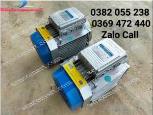 Động cơ mô tơ điện 1 pha 3kw(4hp) chính hãng vòng quay 2900v/p